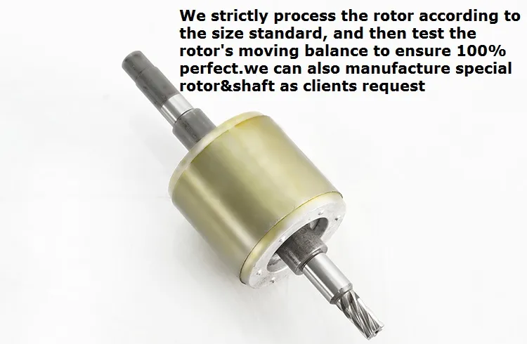 Motor Technical Diagram