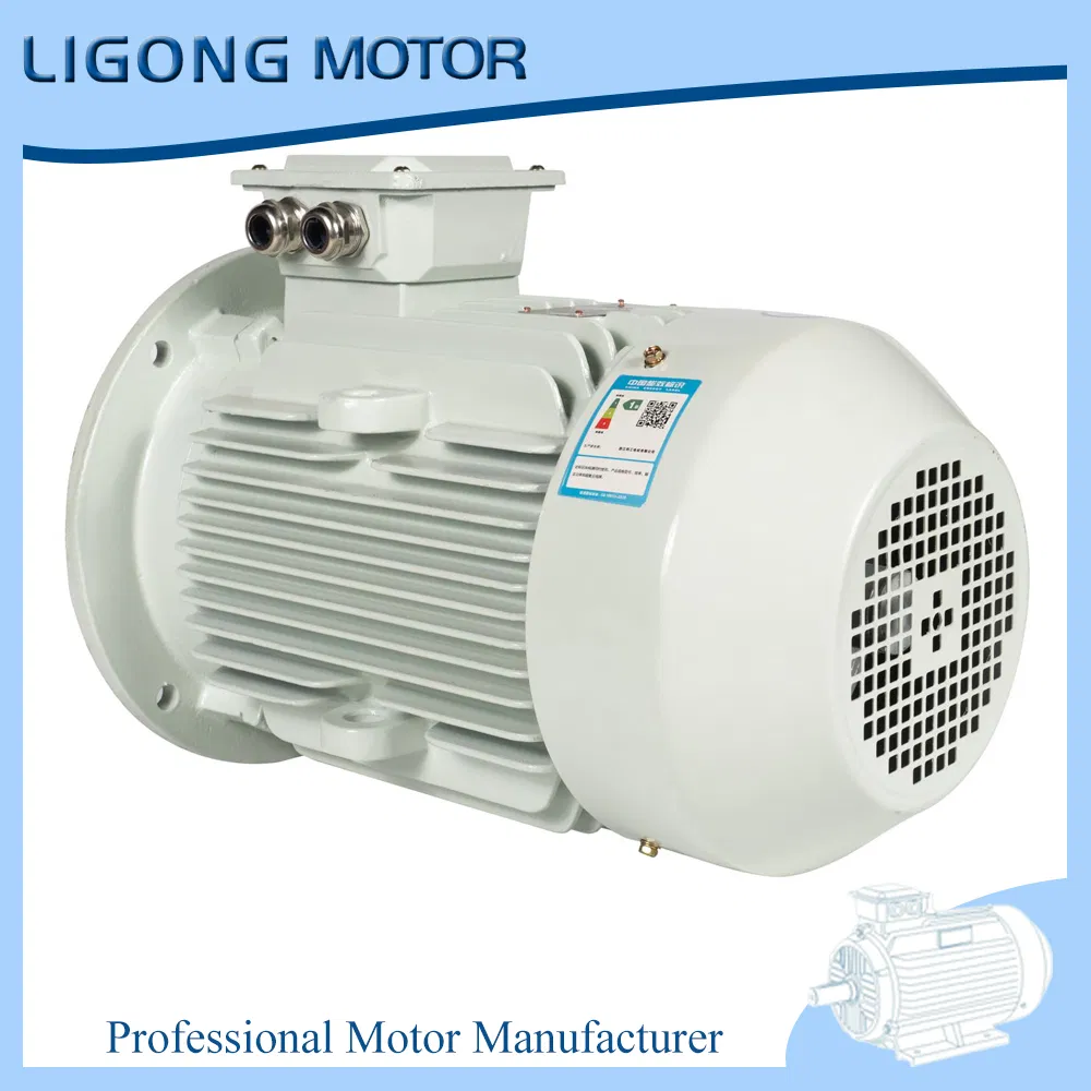 Ye5-315s-6 75kw 995rpm Ie5 Tefc Industrial Electric Motor Drives Factory Exhaust Fans
