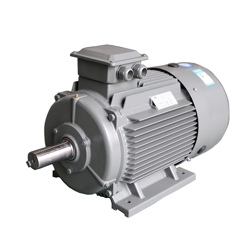 Ie3 High Efficiency 3 Phase Induction AC Electric Motor Ye3-315L1-4-160kw