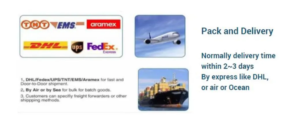 Shipping and Delivery Info