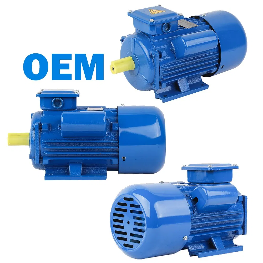Ylycl 0.75/1/1.5/2/3/4/5.5/7/10HP 2800/1400rmp Electrical Big Castiron/Aluminum Induction Single Phase Monophase AC Motor