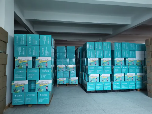 Absorventes Noturnos Premium para Mulheres Todas as Tamanhos Disponíveis