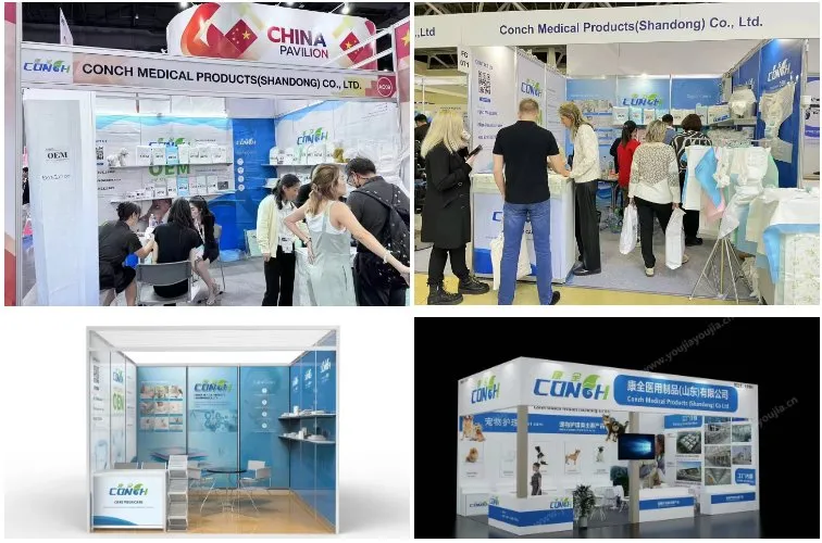 Exposição 3