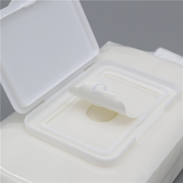 Riway OEM Rotulagem Privada Natural Orgânico Biodegradável Lenços Umedecidos de Bambú para Bebês