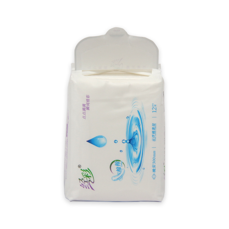 Produtos de Topo para Mulheres: Protetores Menstruais Reutilizáveis de Algodão e Bambu, Absorventes Ecológicos