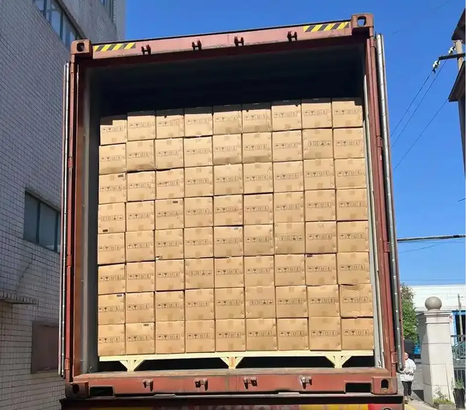 Absorvente diário leve para incontinência masculina