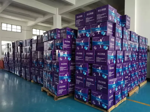 Absorventes Noturnos Premium para Mulheres Todas as Tamanhos Disponíveis