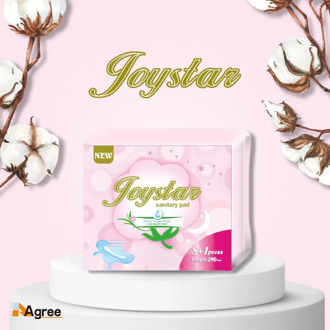 Absorvente Menstrual 1