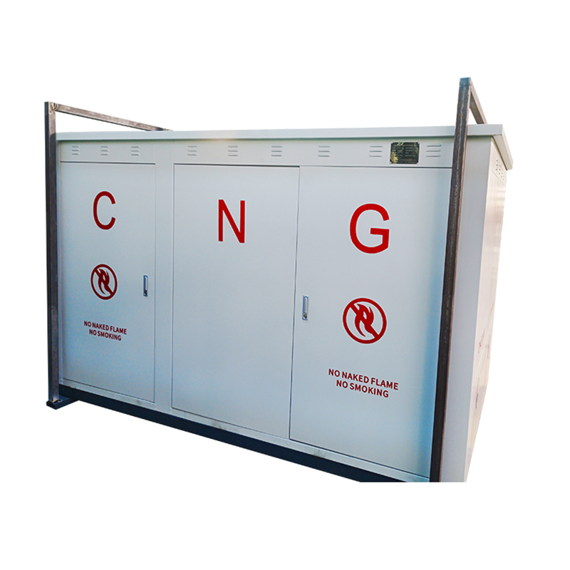 Prms Skid with Flow Meter CNG LNG Pressure Reduction System for High Efficiency