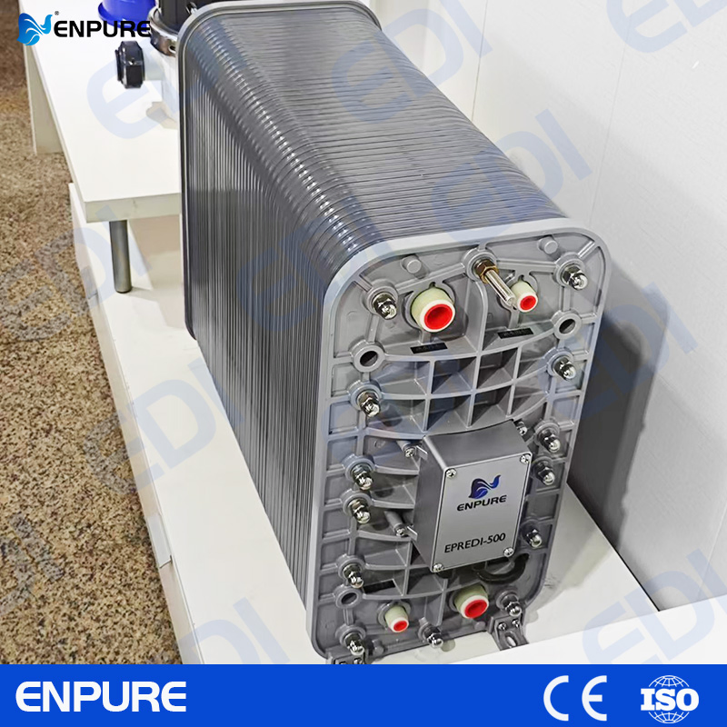 High Water Recovery Easy Installation Mounted Package High Purity Smart EDI Skid for Seawater Desalination