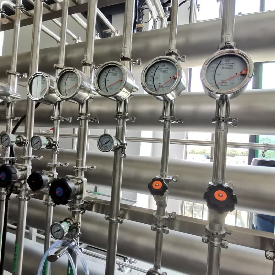 Multi-Stage Filtration Skid for Pharma Use with RO EDI Integration and Compact Skid for Pharma Applications