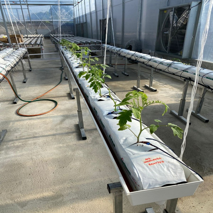 Strawberry Grow PVC Greenhouse Accessories PVC Nft Gutter System Hydroponics Strawberry Gutter