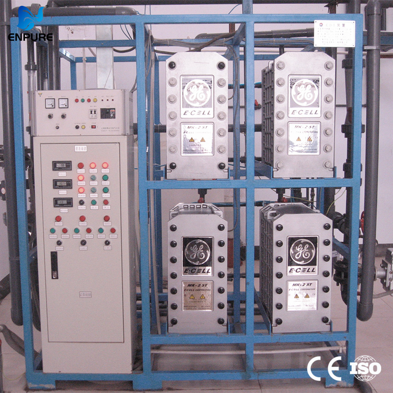 Easy Installation Digital Control Sustainable Water Treatment EDI Skid with CE Certified