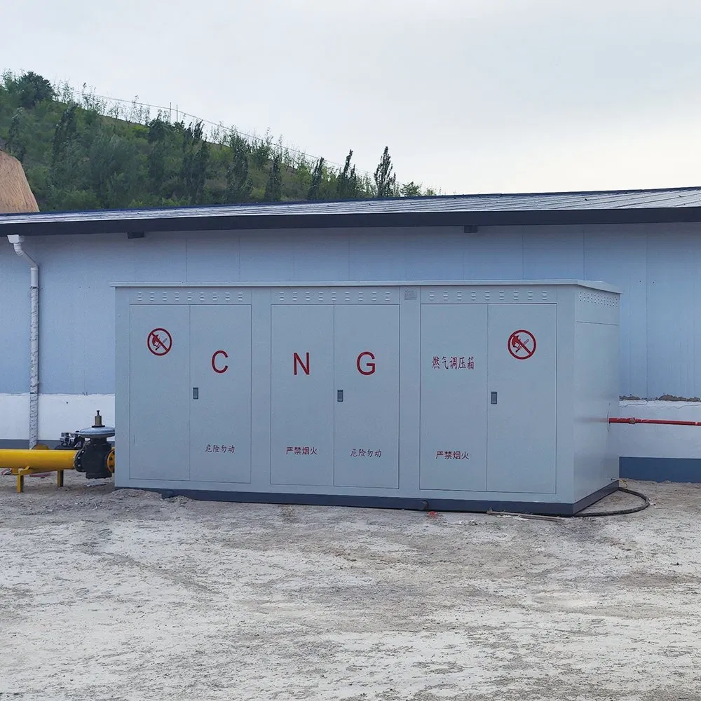 Skid-Mounted Prms for Natural Gas Power Plants 1000 Nm³/H Fuel Gas Conditioning System for Stable Generator Supply