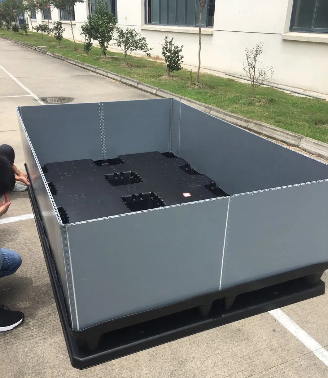 Customized Packaging Solutions