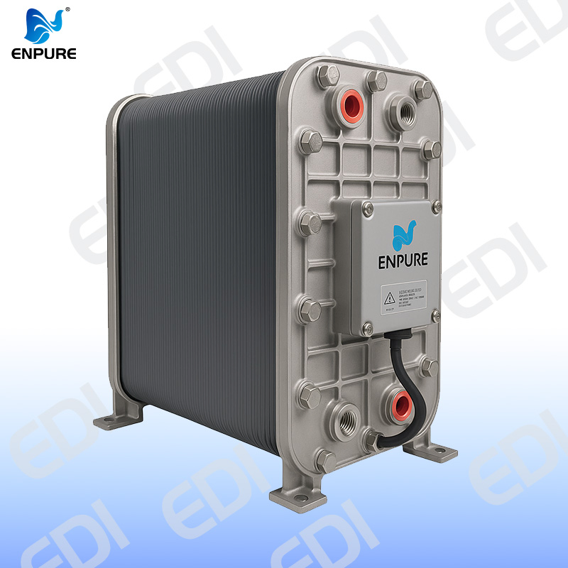 Easy Installation Digital Control Sustainable Water Treatment EDI Skid with CE Certified