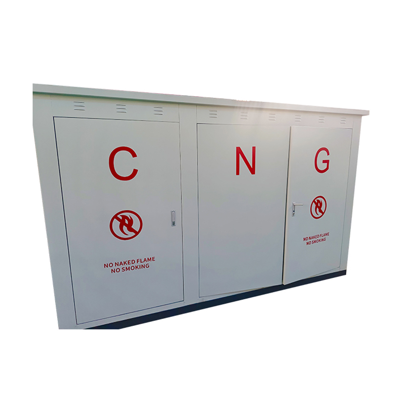 Prms Skid with Flow Meter CNG LNG Pressure Reduction System for High Efficiency