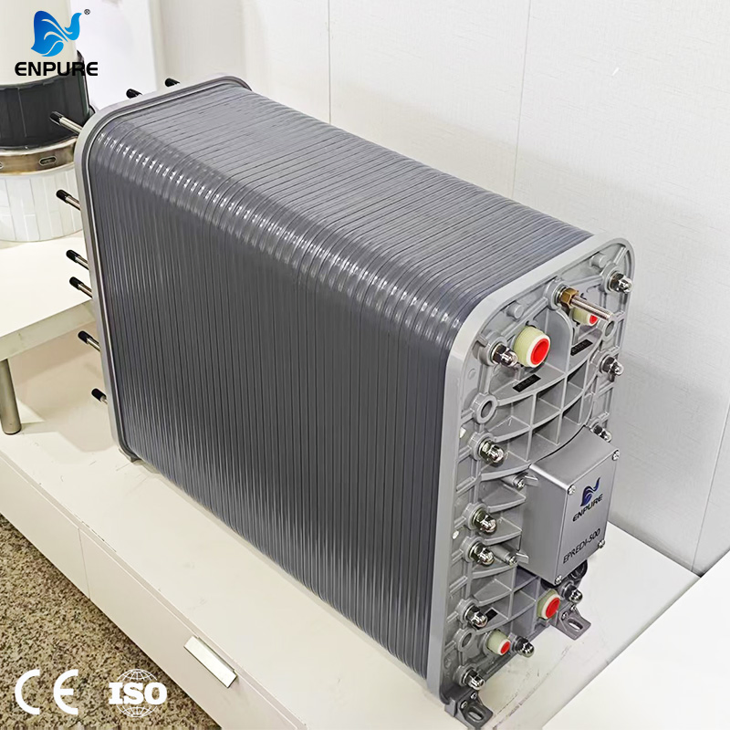 High Flow Eco-Friendly System Digital Control Long Service Life Packaged EDI Skid for Medical Use