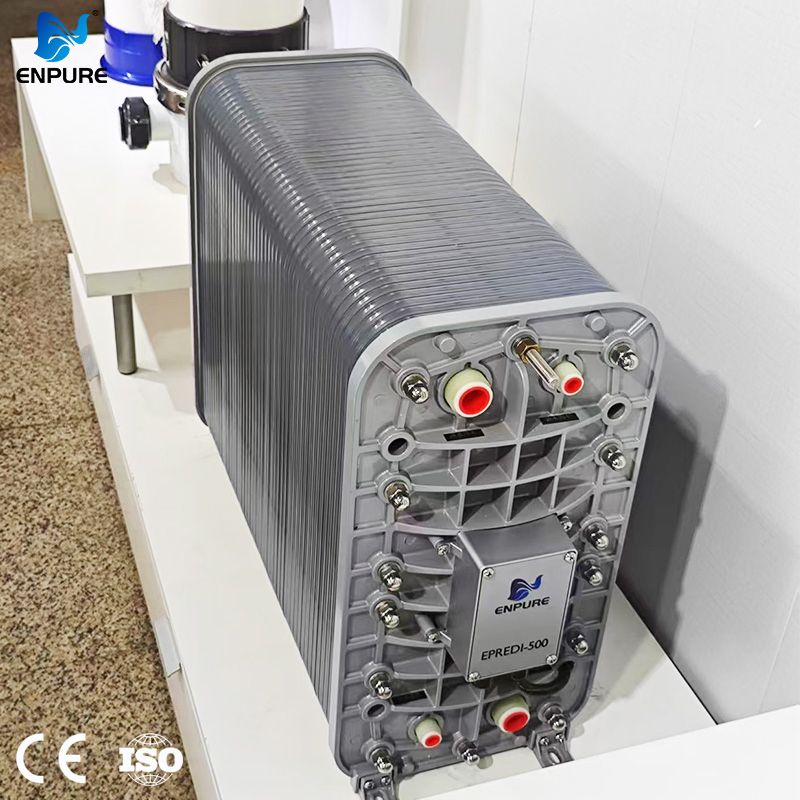 High Water Recovery Easy Installation Mounted Package High Purity Smart EDI Skid for Seawater Desalination
