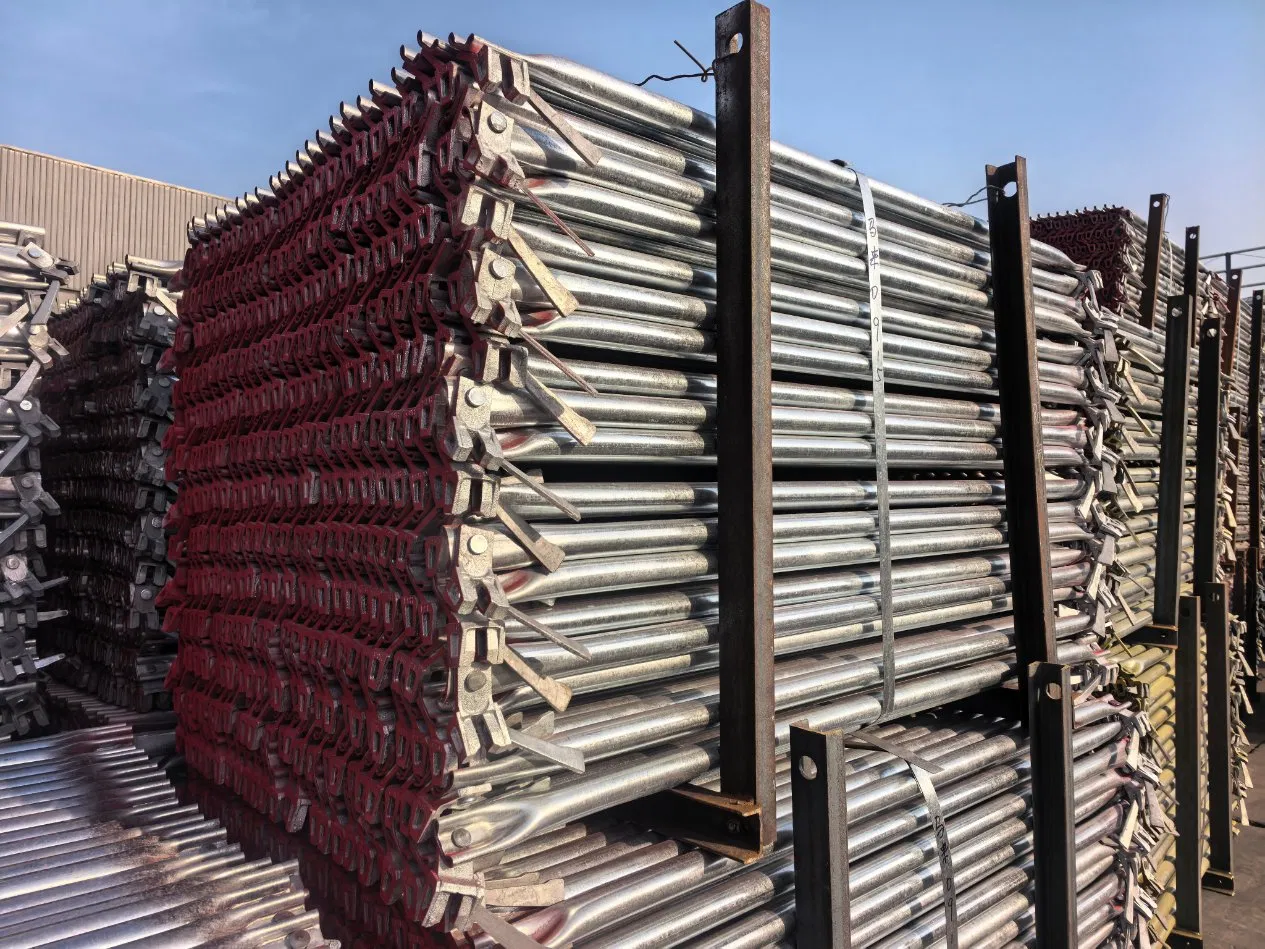 Firm Connection Long Service Life Beautiful Appearance Scaffold Ringlock System