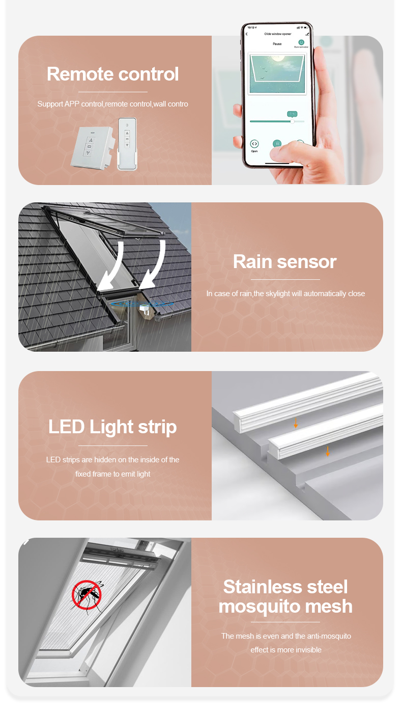 Product Detail 6