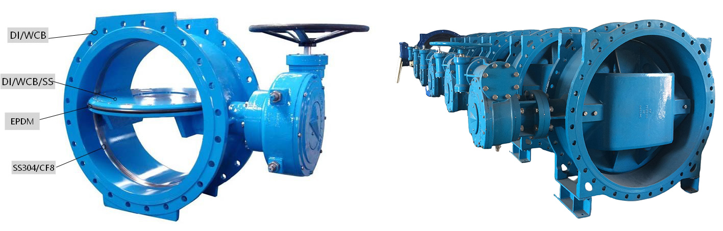 Eccentric butterfly valve structure