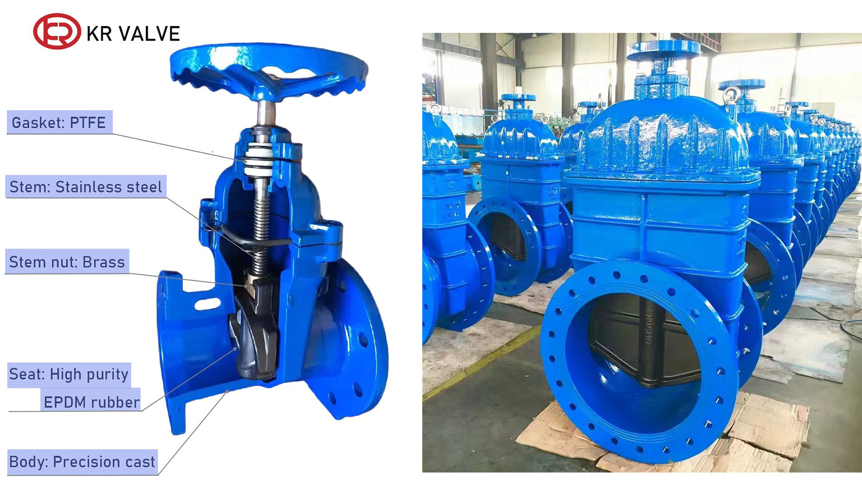 Resilient Seat Gate Valve Structure
