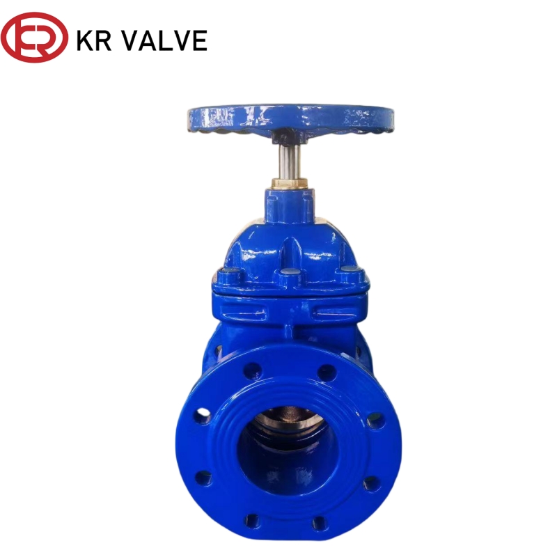 OEM China GGG40 Bronze Seat Hard Seal Flange Gate Valve - Suppliers & Factory for High-Quality Ductile Iron Valves Supplier, Manufacturers