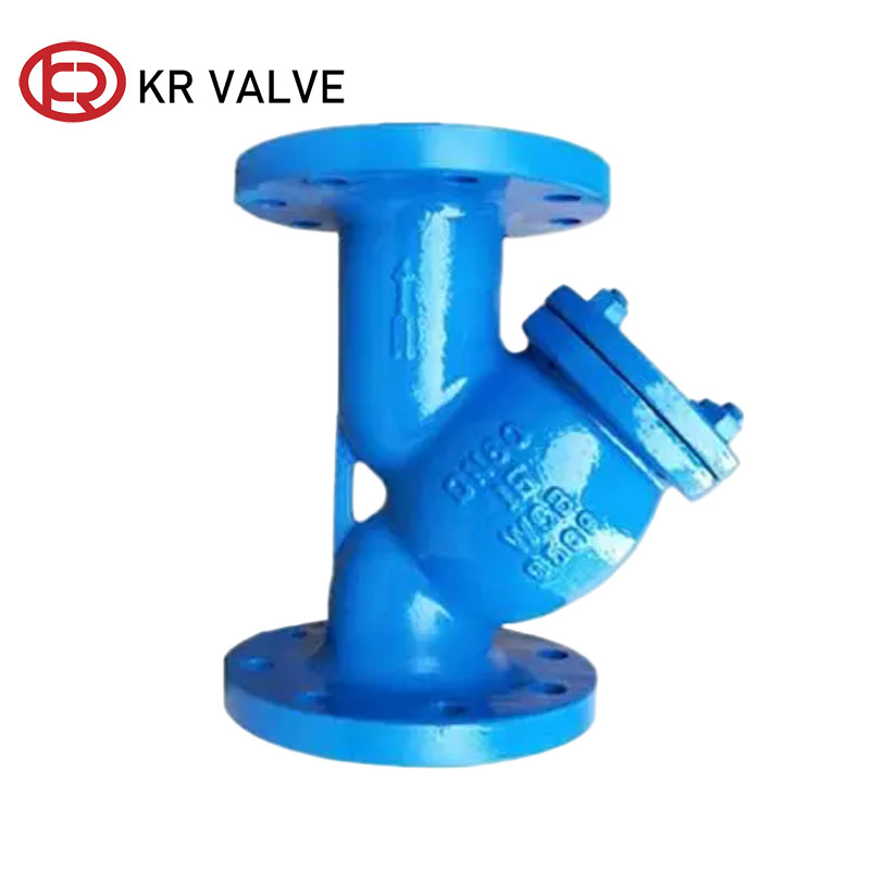 Custom Flanged Y type strainer basket filter WCB material Supplier, Manufacturers