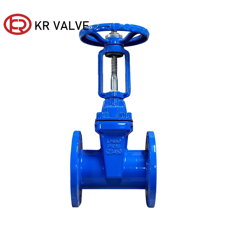 Custom Rising stem gate valve ductile iron body and EPDM Seat Suppliers, Factories
