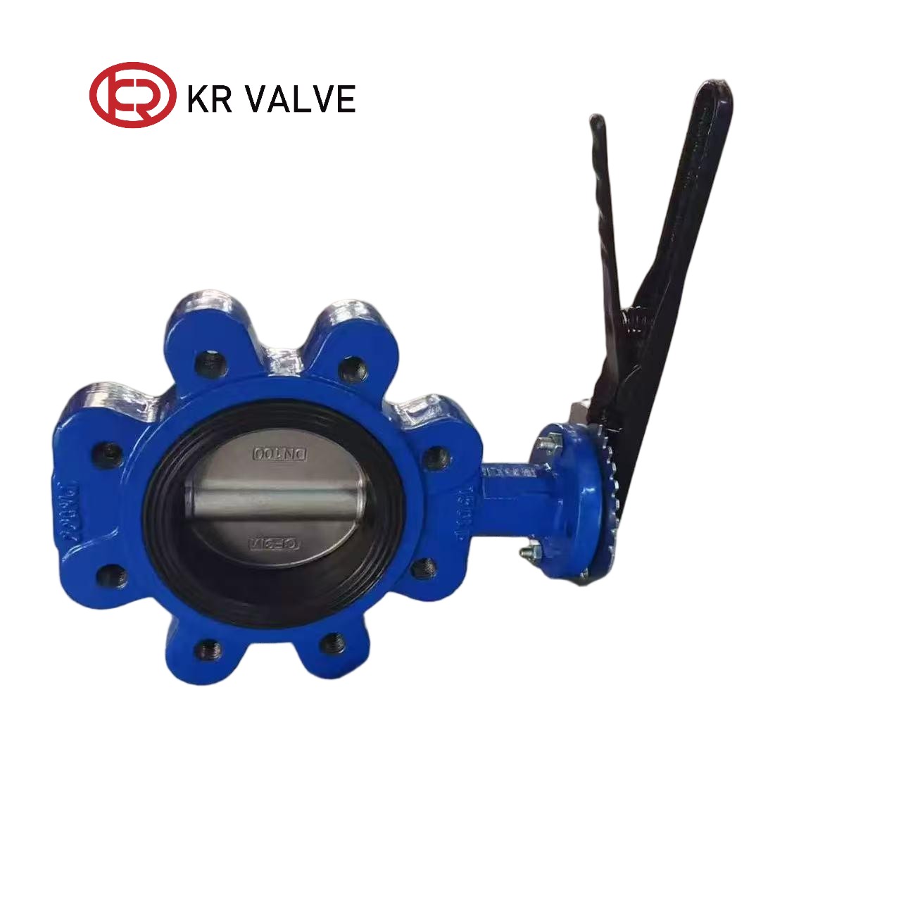 OEM Soft Seal Lug Butterfly Valve GGG40 Handle Operation Supplier, Factory