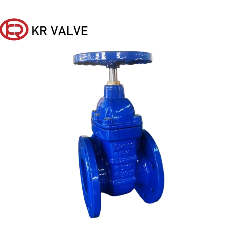 OEM China GGG40 Bronze Seat Hard Seal Flange Gate Valve - Suppliers & Factory for High-Quality Ductile Iron Valves Supplier, Manufacturers