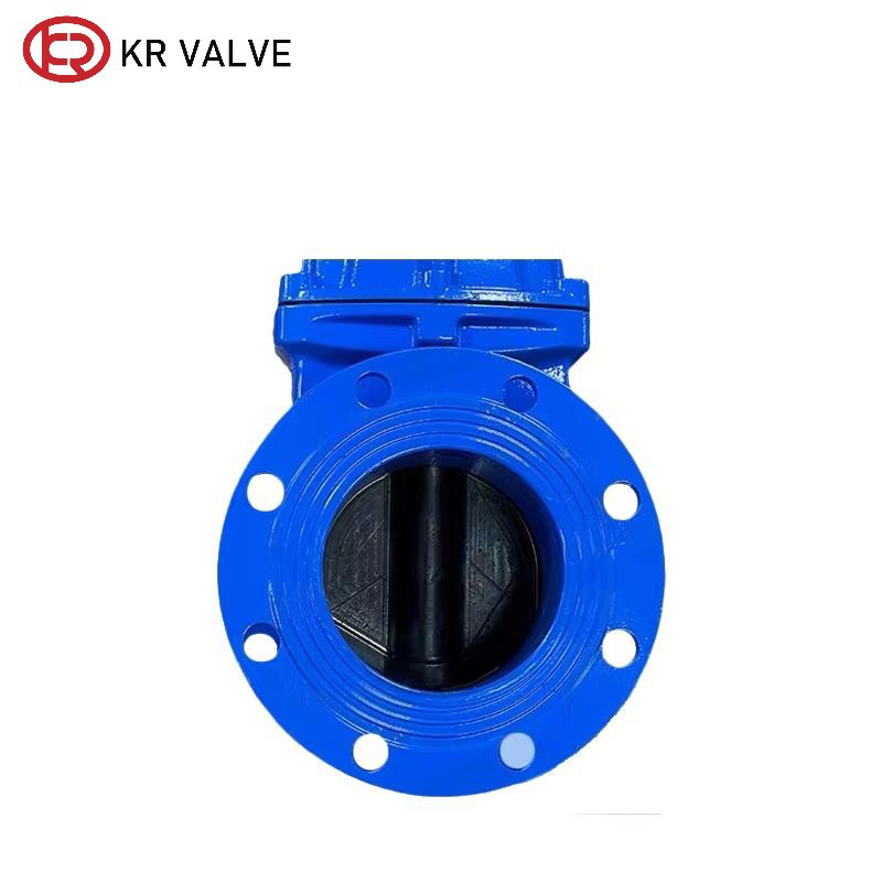 OEM Non Rising Stem EPDM Soft Seal Gate Valve DIN F5 Standard Supplier, Factory