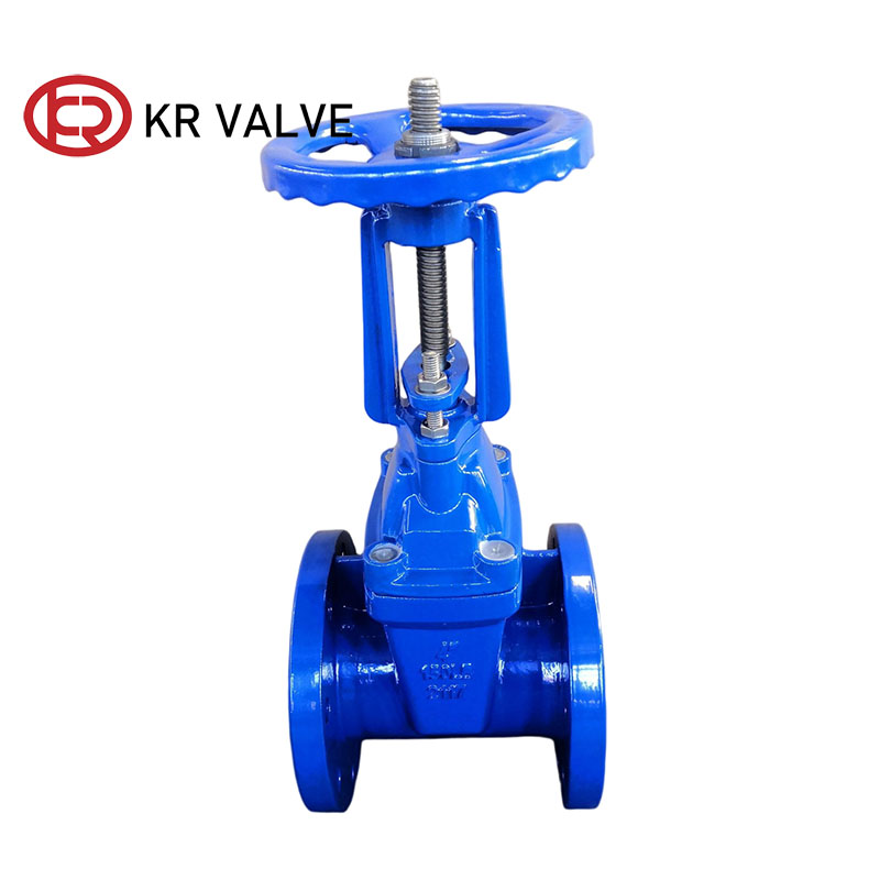 Custom Rising stem gate valve ductile iron body and EPDM Seat Suppliers, Factories