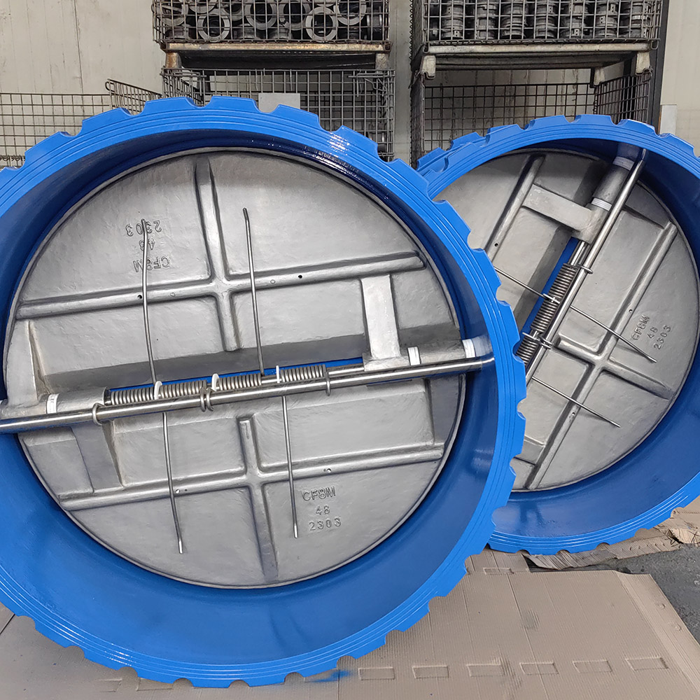 Wholesale One Way Valve Ductile/ Cast Iron Body CF8 Disc Supplier, Manufacturer
