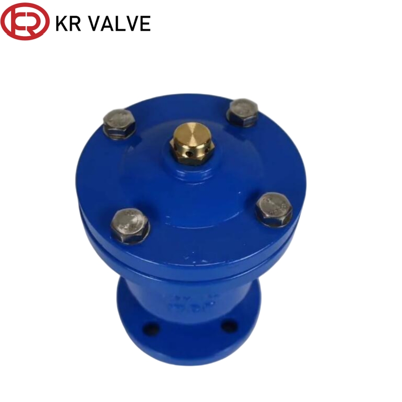 OEM Automatic air release valve single port type WCB material PN16 Supplier, Suppliers