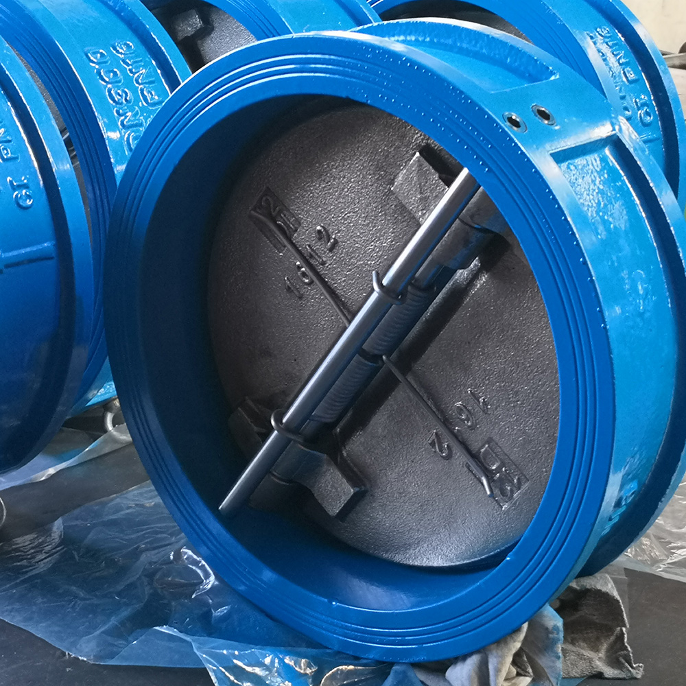 Wholesale One Way Valve Ductile/ Cast Iron Body CF8 Disc Supplier, Manufacturer