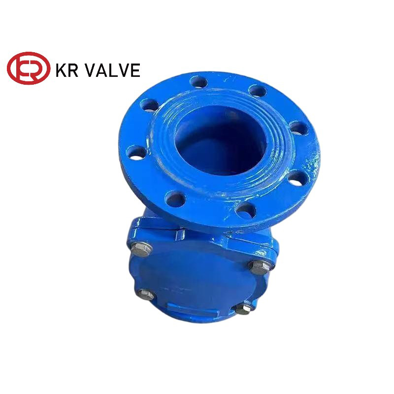 Wholesale Rubber Flap Check Valve Nbr Disc 4 Inch Suppliers, Manufacturer