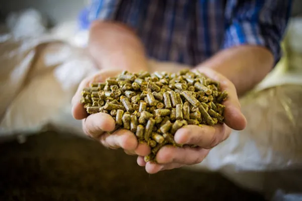 Alimentação animal & Agricultura