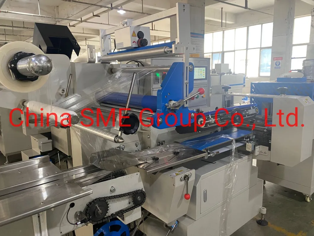 Detalhe Máquina de Embalagem 3