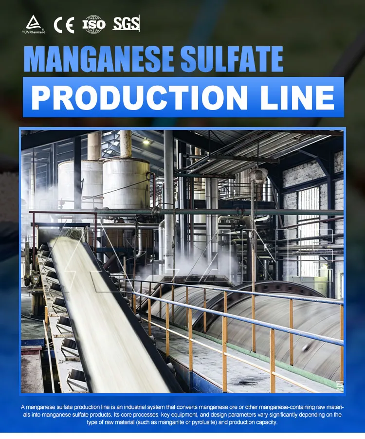 Projeto Turnkey de Fertilizante de Sulfato de Manganês Linha Completa de Processamento de Cristalização Granulação Secagem Embalagem