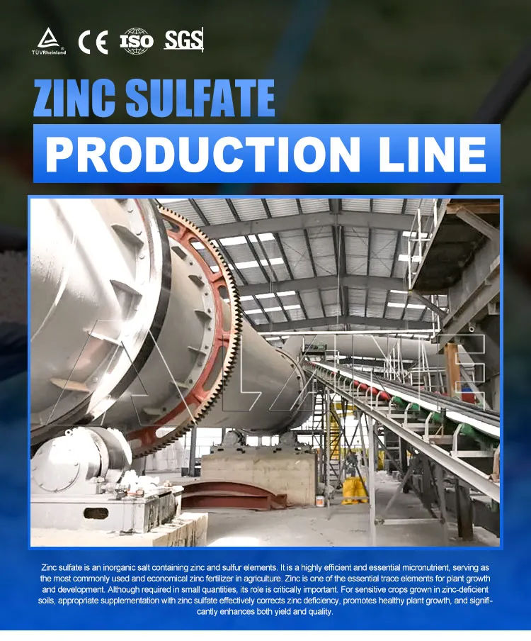 Linha de Produção de Granulação de Fertilizante Sulfato de Zinco Heptahidratado Equipamento de Processamento Agrícola em Pó