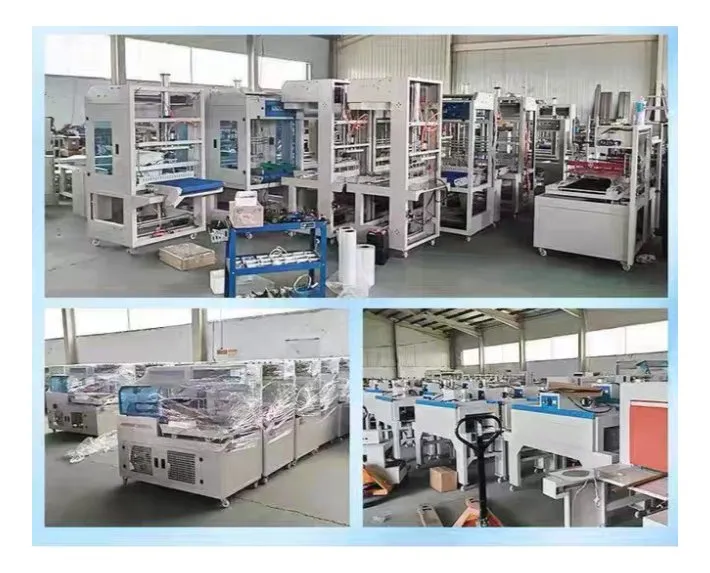Máquina de Embalagem de Filme Termoencolhível Automática de Alta Qualidade