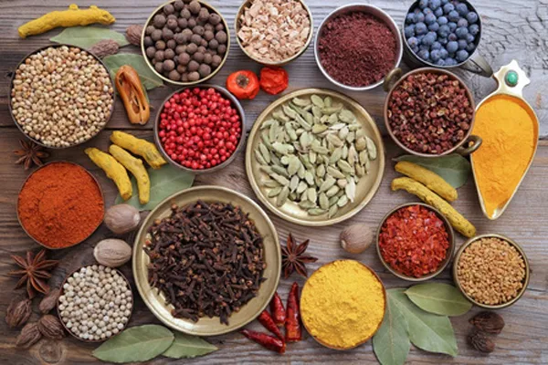 Indústria alimentar e de bebidas