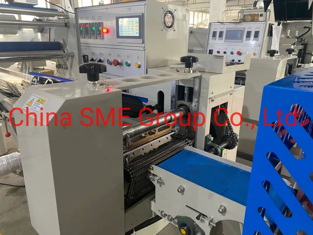 Detalhe Máquina de Embalagem 9