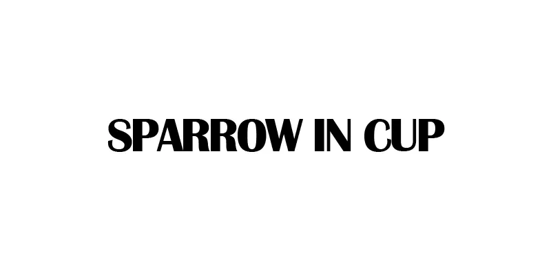 Logo Sparrow