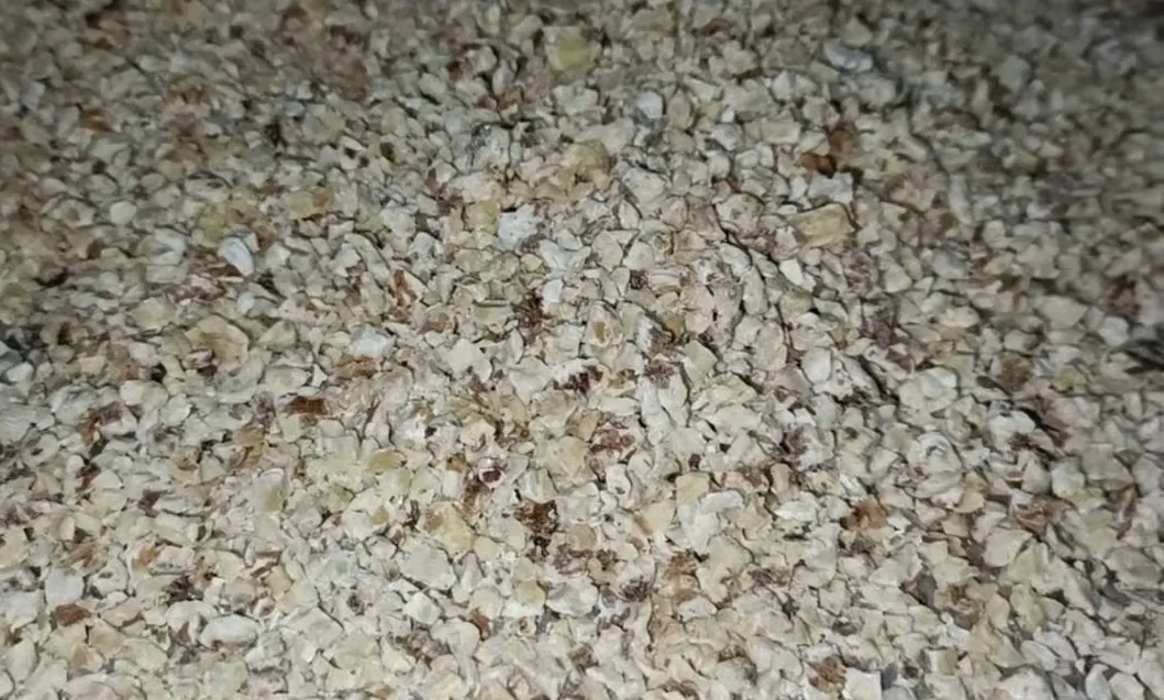 Nuez de tigre Almendra Nuez de nogal Macadamia Cacahuate Maní Cortador Picador Molinillo Molino de molienda