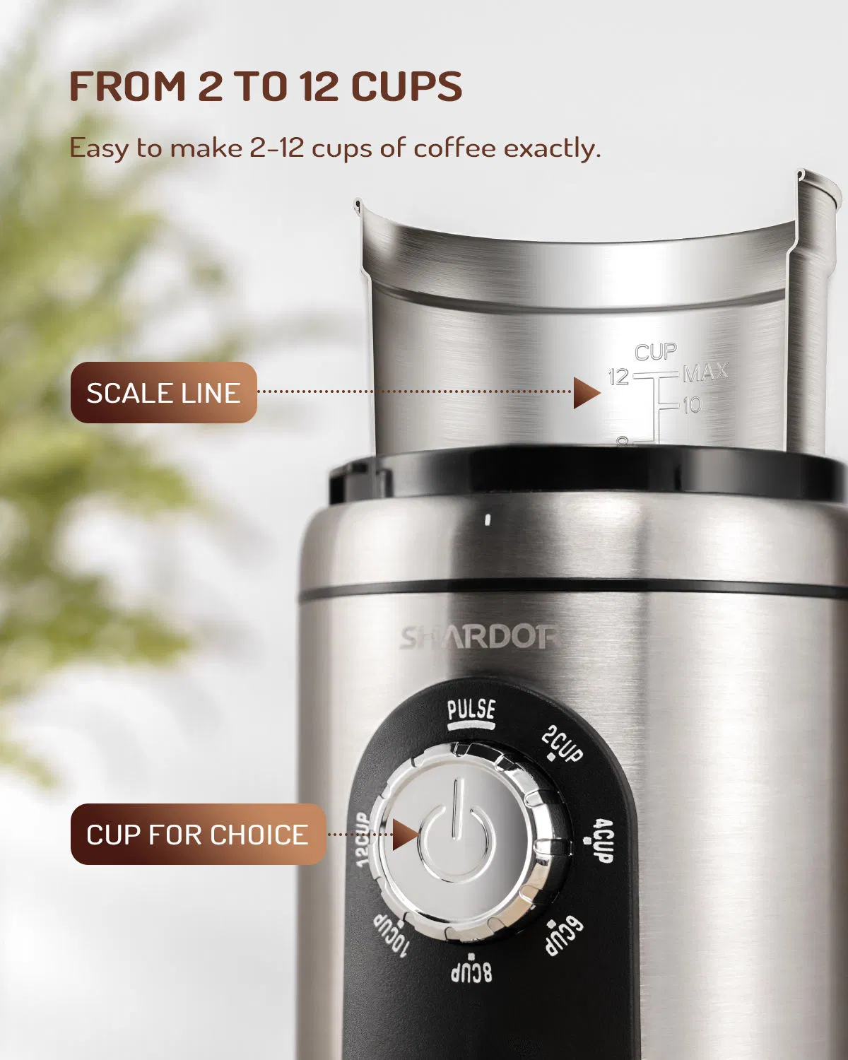 Molino de café eléctrico con tazón de acero inoxidable removible