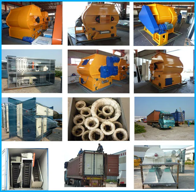 Exportación de equipo