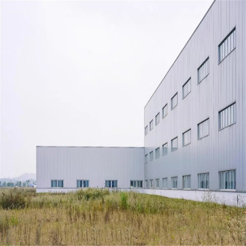 Prefabricated Factory Build Customized Prefab Building Warehouse Metal Structure